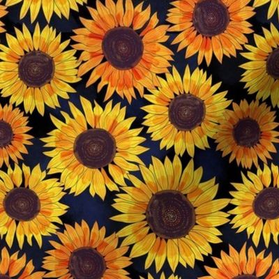 sunflower 10