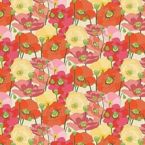 Wild Poppy Meadow - medium on cream