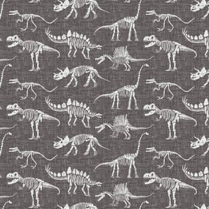 dinosaur fossils- grey brown - small scale