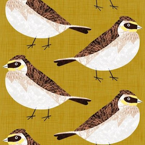 Bird Alphabet - L is for Lark