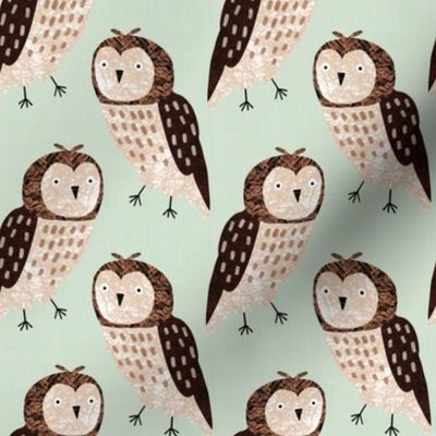 Bird Alphabet - O is for Owl