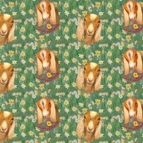 3x2-Inch Repeat of Tiny Size Goats and Daffodils