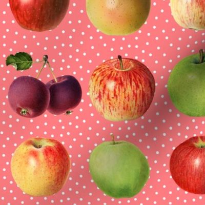 Apples and dots on coral ground