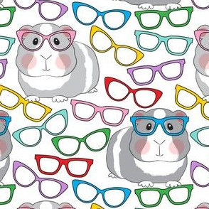 large guinea pigs with glasses