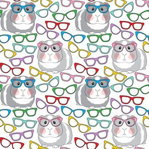 medium guinea pigs with glasses