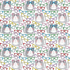 small guinea pigs with glasses