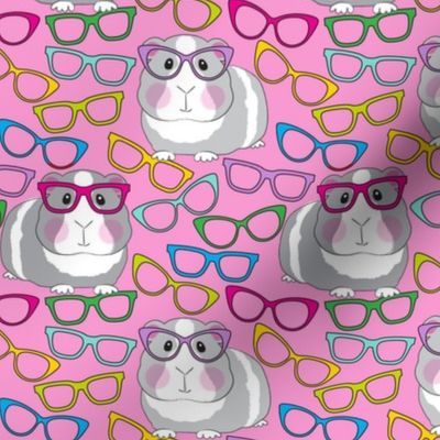 large guinea pigs with glasses on pink