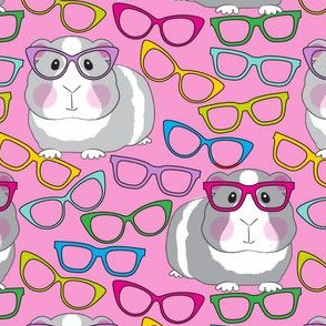 large guinea pigs with glasses on pink