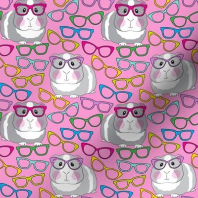 medium guinea pigs with glasses on pink