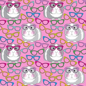 medium guinea pigs with glasses on pink