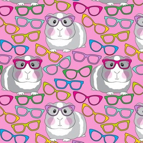 small guinea pigs with glasses on pink