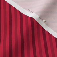 Nutcracker Coordinate - Stripes | Red