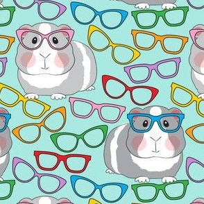 large guinea pigs with glasses on teal