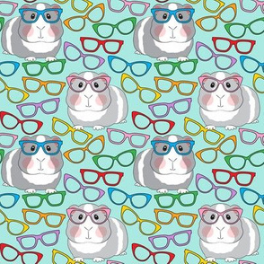 medium guinea pigs with glasses on teal