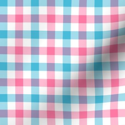 Trans Gingham Check Plaid