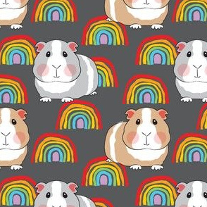 medium guinea pigs and rainbows on charcoal