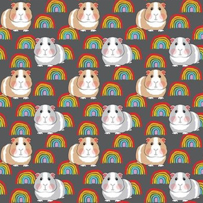small guinea pigs and rainbows on charcoal