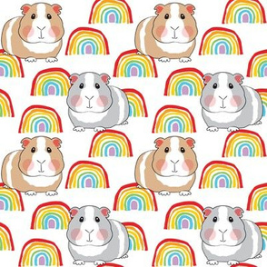 medium guinea pigs and rainbows on white