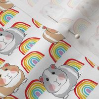small guinea pigs and rainbows on white