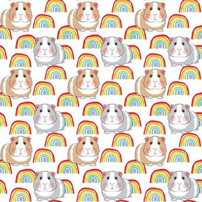 small guinea pigs and rainbows on white