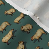 Small Scale Capybara Pattern - Giant Rodents
