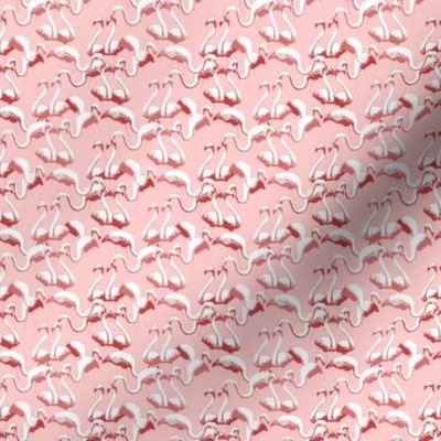 Plastic Flamingos - Pink