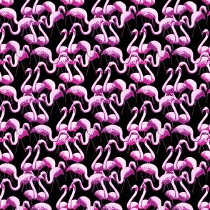 Plastic Flamingos - Black