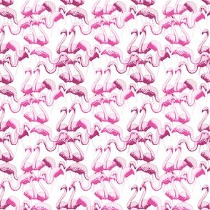 Plastic Flamingos - White