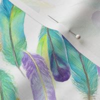 (Medium)  Magical Feathers on White