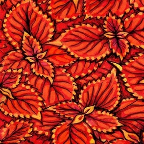 Coleus Leaves Orange  Autumn Botanical Floral  Pattern