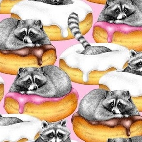 The Sweet Dreams of a Trash Panda - on solid pink