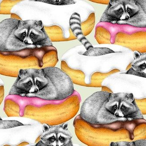 The Sweet Dreams of a Trash Panda - on solid pale green beige 
