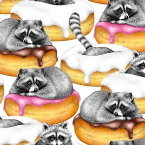 The Sweet Dreams of a Trash Panda - on solid white