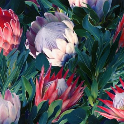 Lush Protea Botanical - medium print