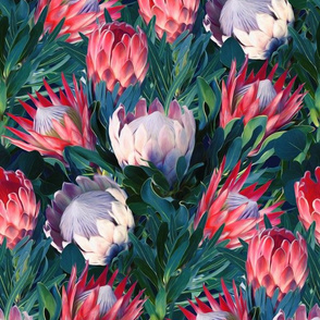 Lush Protea Botanical - medium print