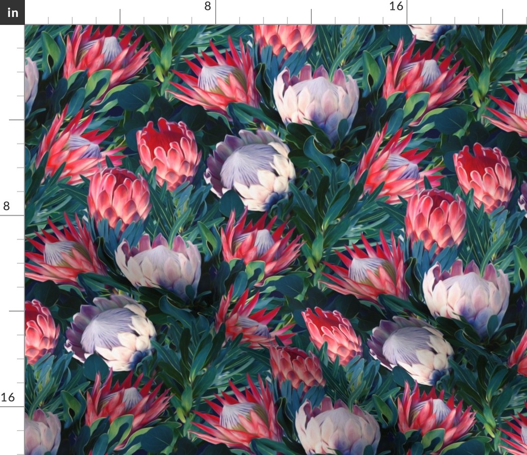 Lush Protea Botanical - medium print