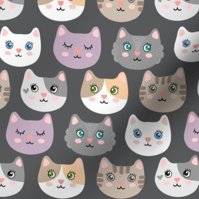 Cute cats - on gray