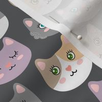 Cute cats - on gray