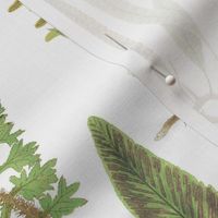 Fern Forest on White, Less Brown // large