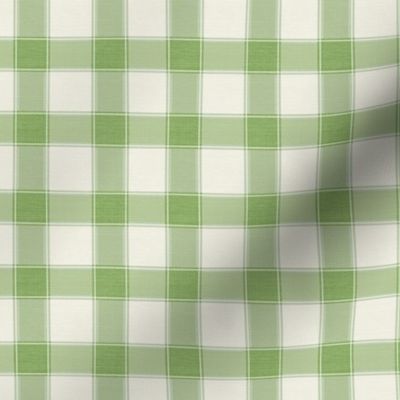 Rustic Gingham Check Leaf Green // small