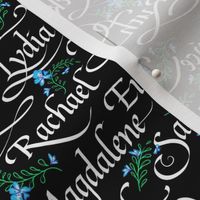 Calligraphy | Godly Women of the Bible | Sm Bk+Bl