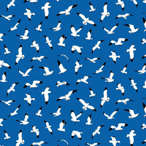 Seagulls on Blue