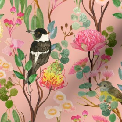 Australian Birds and Blooms {Blush}