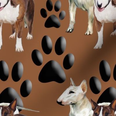 Bull Terriers and Paw prints