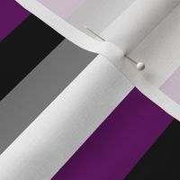 Ace Pride Stripes - 1 inch