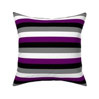 Ace Pride Stripes - 1 inch