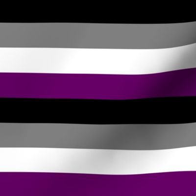 Ace Pride Stripes - 1 inch