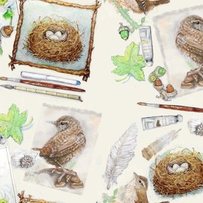 Wrens Painted Nest