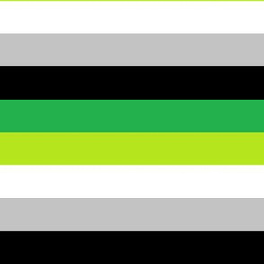 Aro Pride Stripes - 1 inch