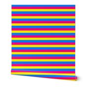 Pan Pride Stripes - 1 inch